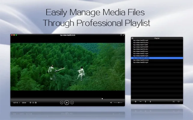 Professional playlist preview