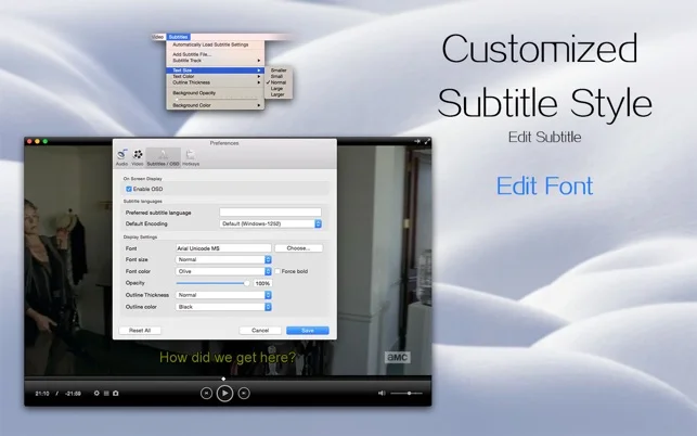 Subtitle customization preview