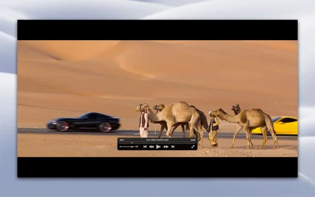 Video player for mac preview