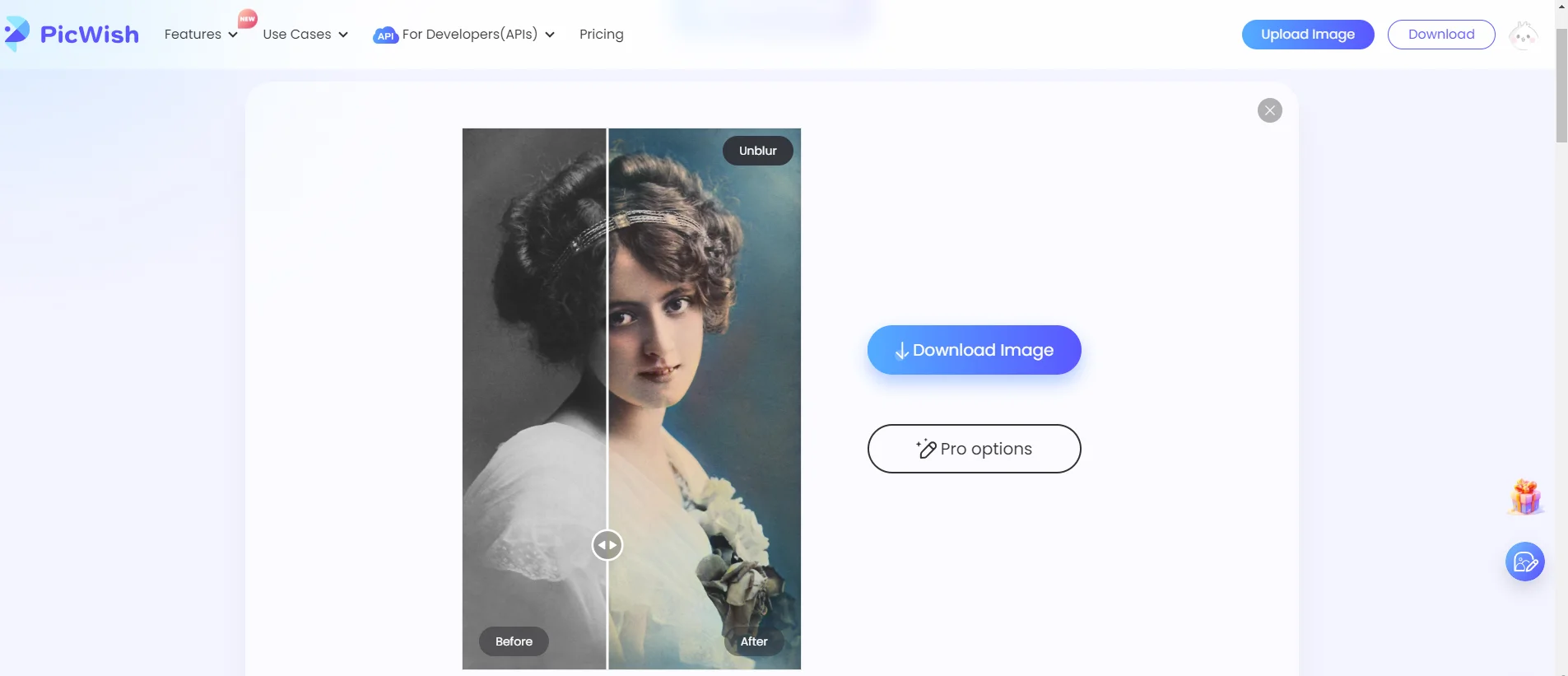 Picwish AI colorizer UI