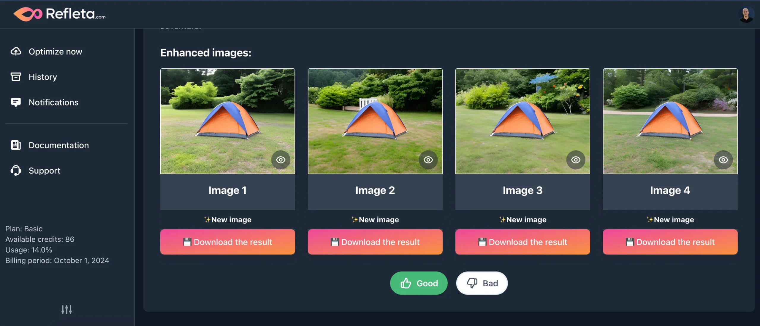 Refleta AI photo enhancer - enhanced image options