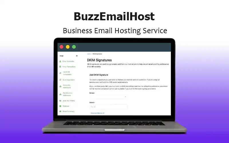 BuzzEmailHost feature image, email marketing guide