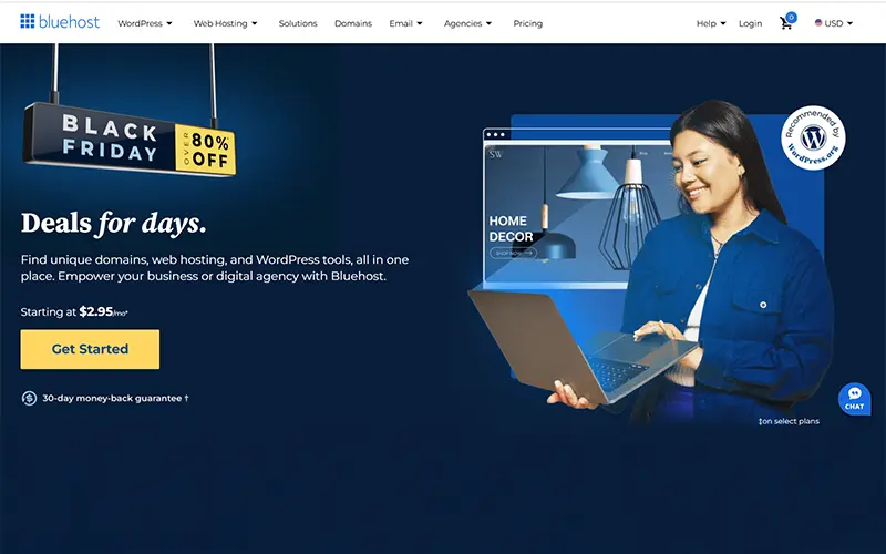 wesite preview of Bluehost best Website Hosting For Bloggers and Content Creators
