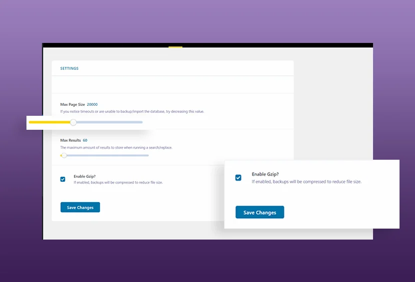 Dashboard Settings of VoiceMailer