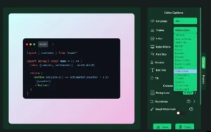 Editor options of screenshots4all - Screenshots tool