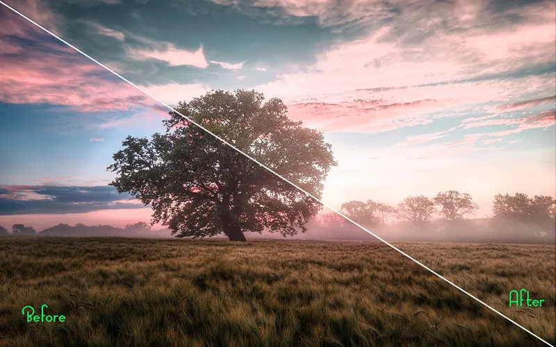 Preview of the PS actions applied on a beautiful image of a field