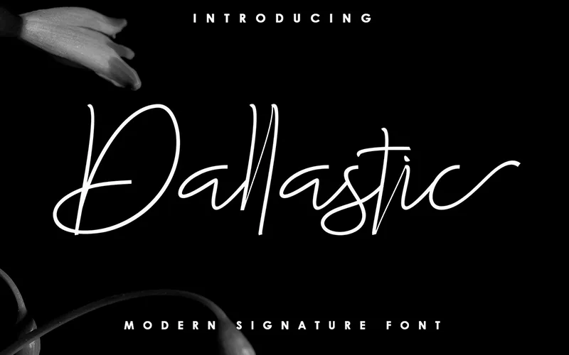 A preview of Dallastic - a modern signature font included in the bundle