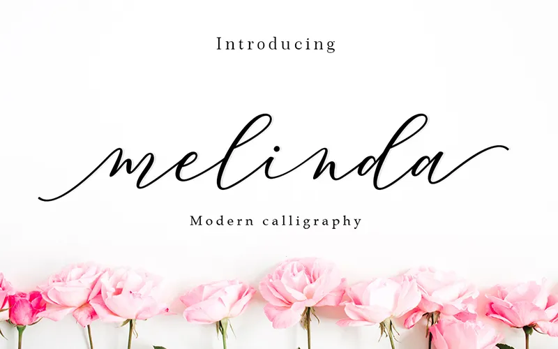 A preview of the Melinda script included in the bundle