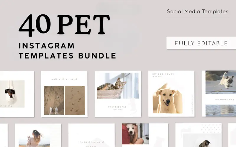 40 pet instagram templates - feature image