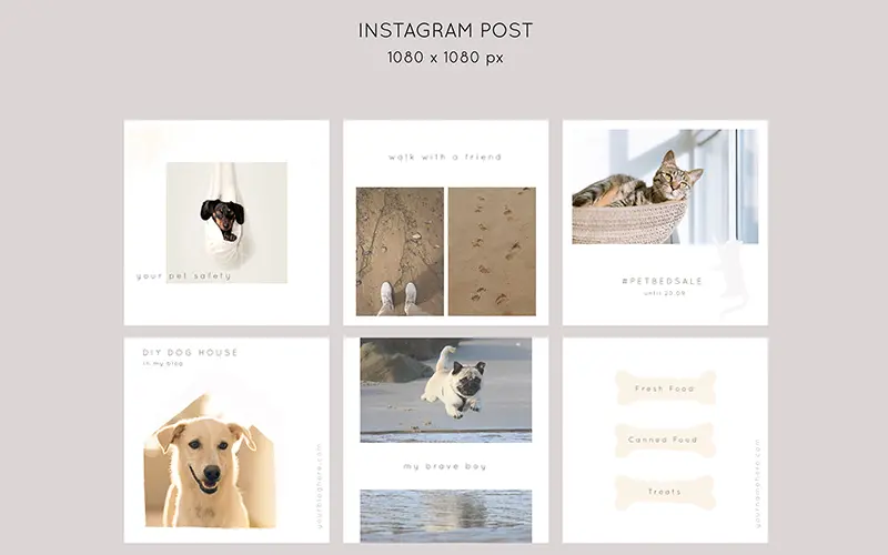 Collage of post templates for cat media