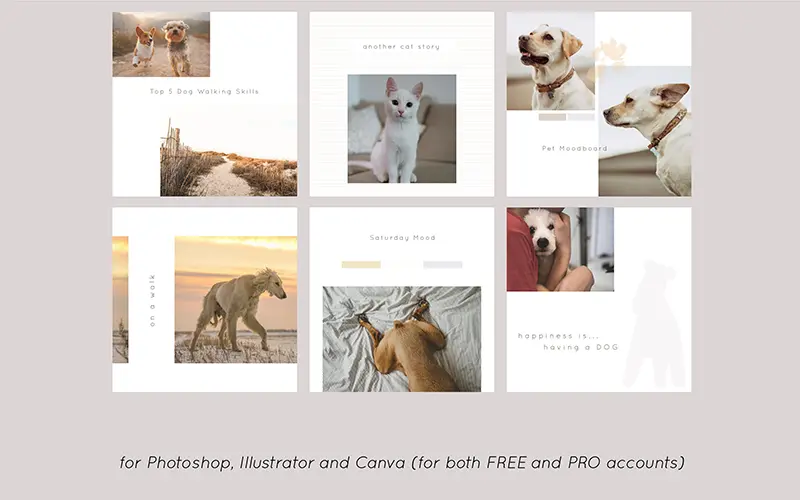 Collection of Ig templates for pet posts.