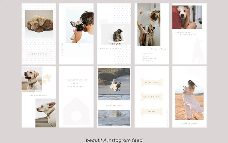Collage of colorful pet care Instagram templates.
