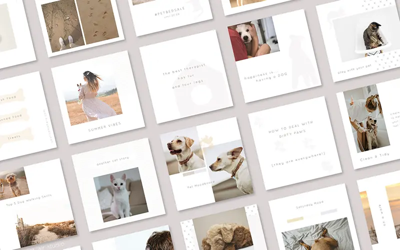 Collage showcasing dog-themed Instagram templates.