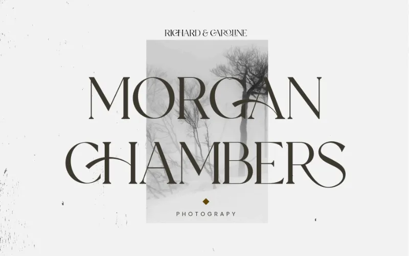 A textual preview of the ligature serif font