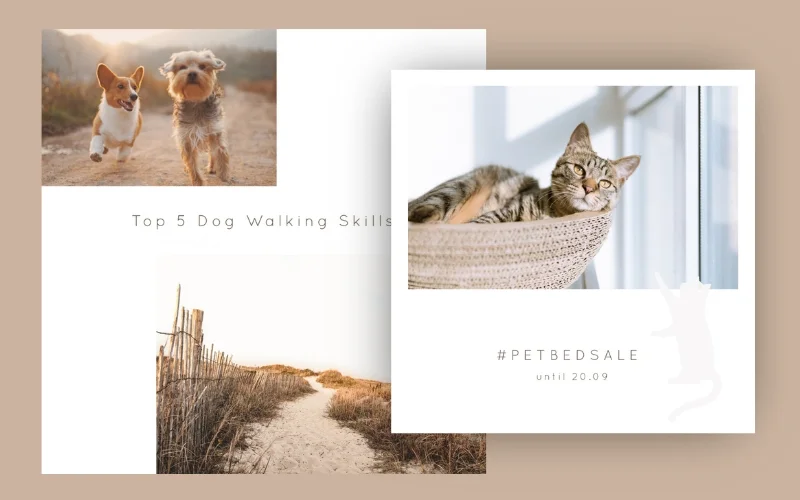 Minimal instagram pet posts collage