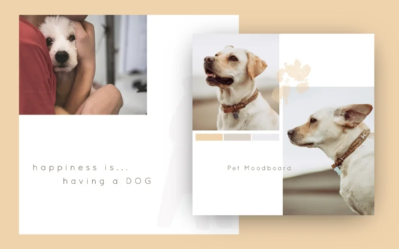 Collage of post templates for pet dogs