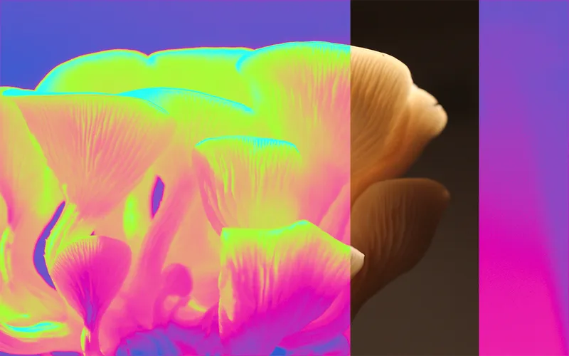 A preview of a Photoshop Gradient Map included in the bundle