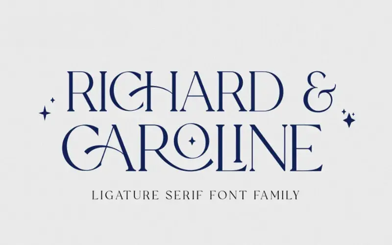 A preview of the Ligature Serif Font Family