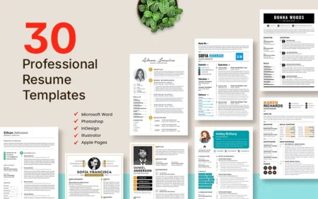 Professional resume template preview
