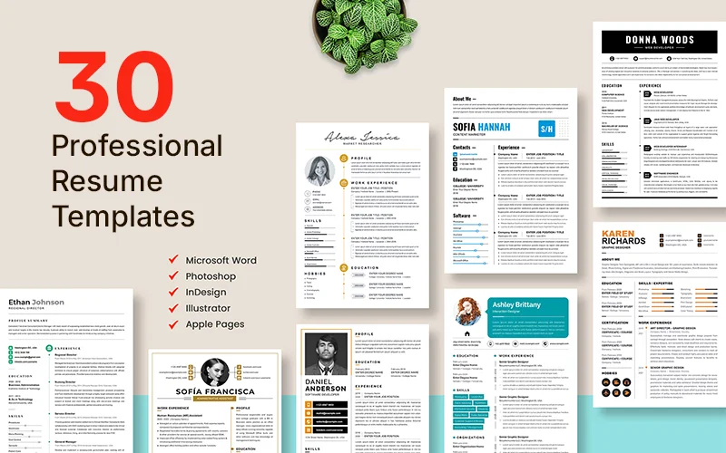 Professional resume template preview