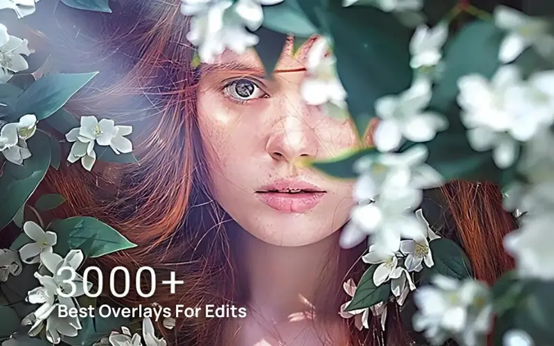 3000 Best Overlays feature image