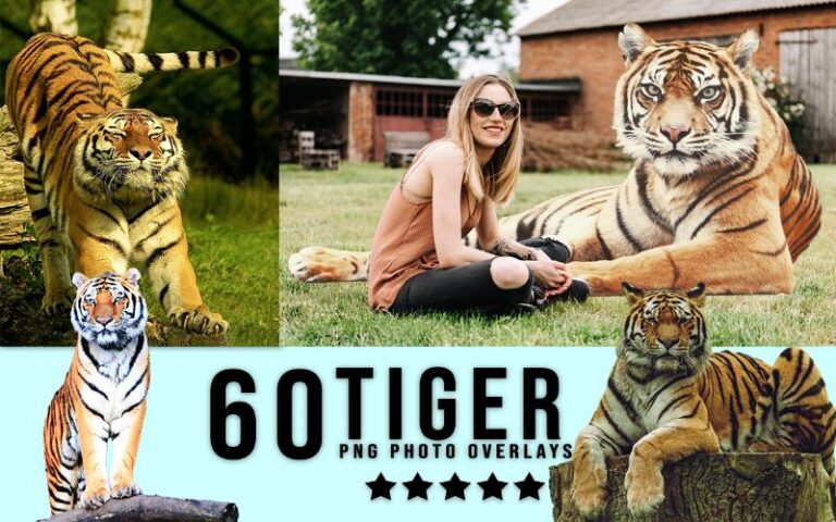 A collage of tiger images