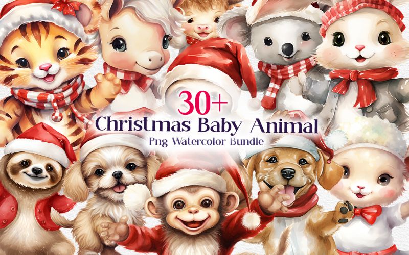 Baby Animal