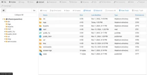 PawnHoster - Fast website hosting File Manager Feature