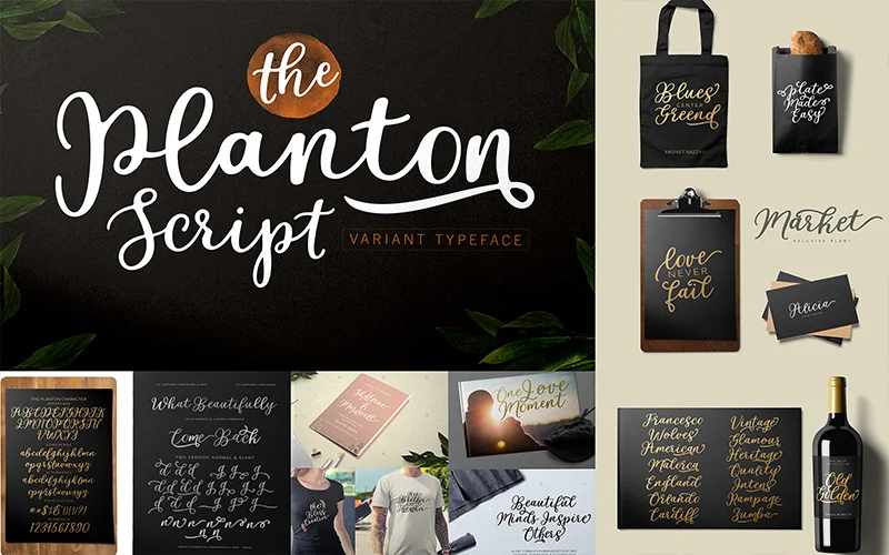 Planton-Script-Font, modern fonts bundle