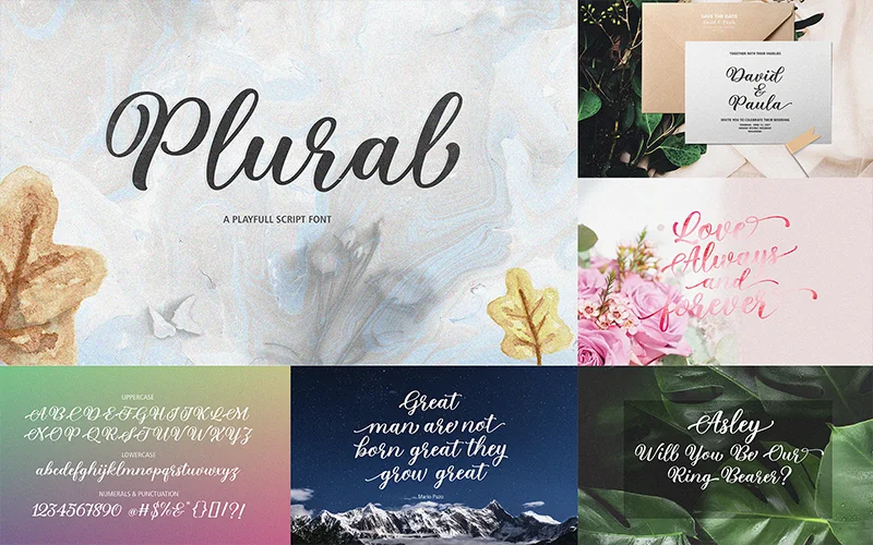 download script font, modern calligraphy handwritten font