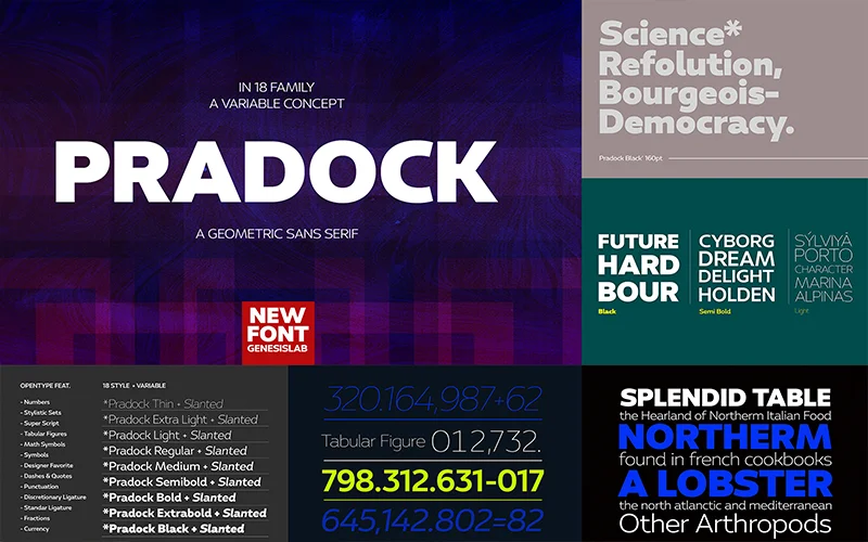 Pradock-Font, handwriting font modern, modern font bundle