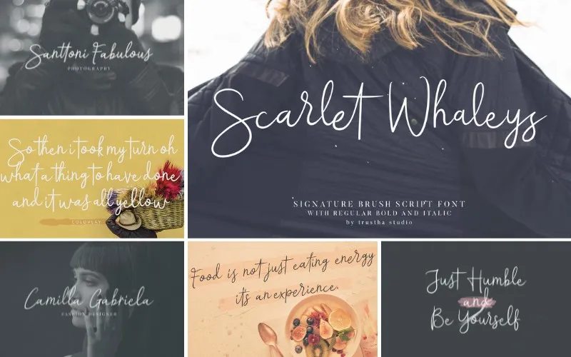 scarlet whaleys font, handwritten font examples