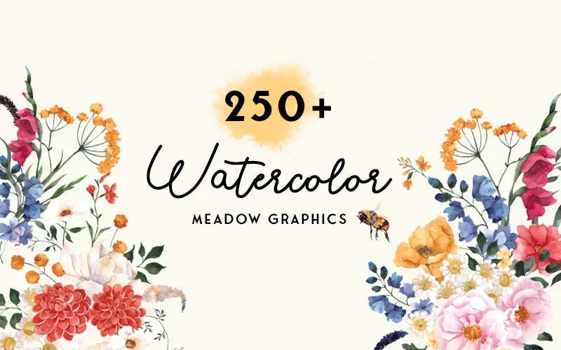 Watercolor meadow graphics feature image