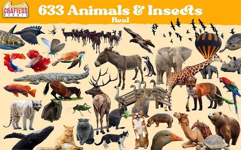 vintage animal images, vintage animal photos, vintage stock illustration