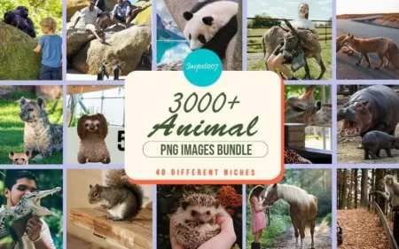 Animal pngs bundle feature image