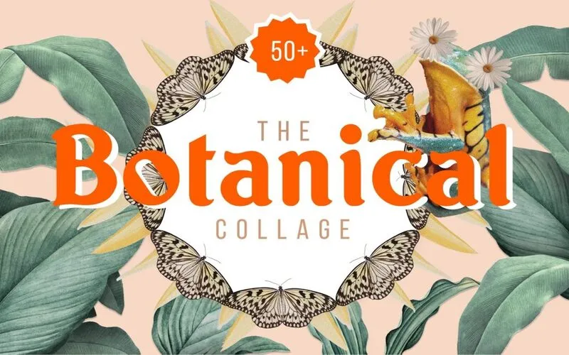 botanical collage, collage graphic