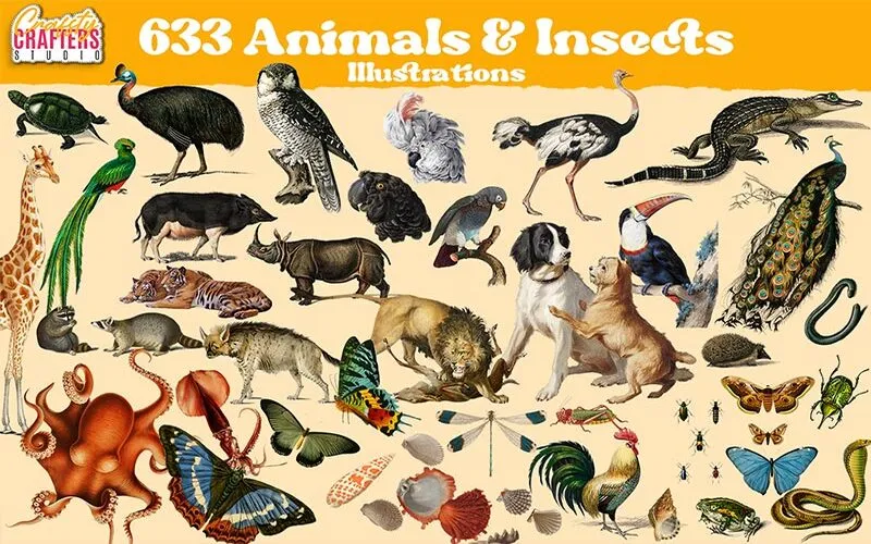 vintage animal images, vintage animal photos