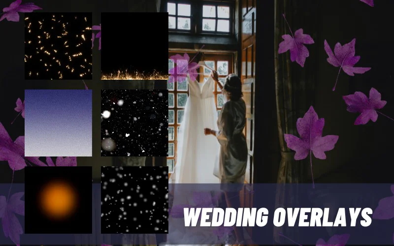 wedding confetti overlay