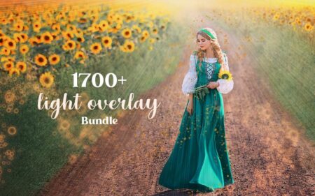 1700+ Light Overlay Bundle | Extended License
