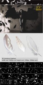 Feathers