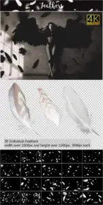 Feathers