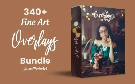 340+ Fine Art Overlays Bundle | Extended License