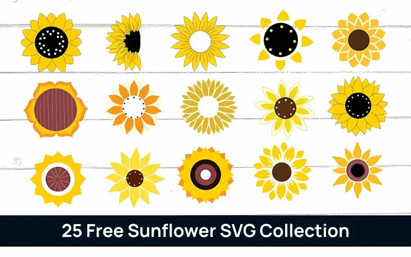 Free Sunflower SVG Collection Feature Image