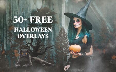 50+ Free Halloween Overlays