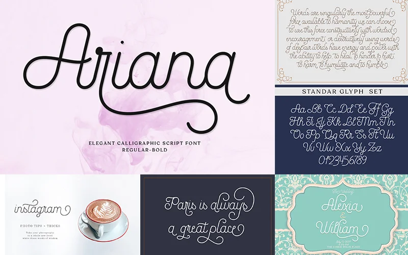 Elegant Calligraphic Script Font