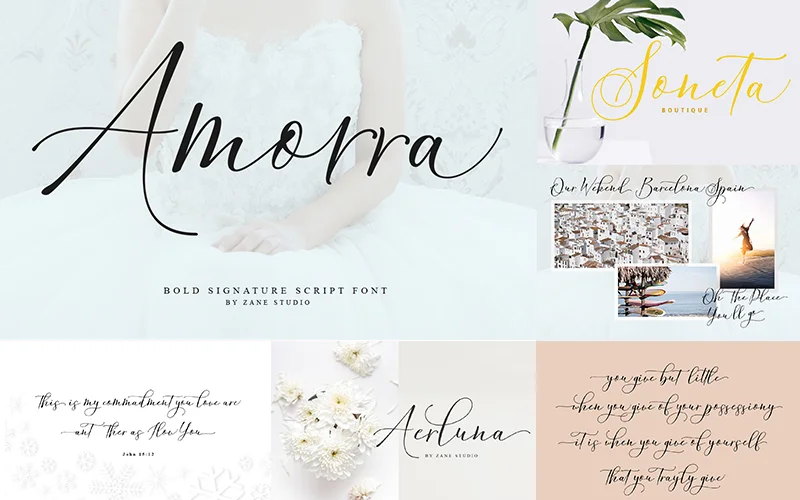 Bold Signature Script Font