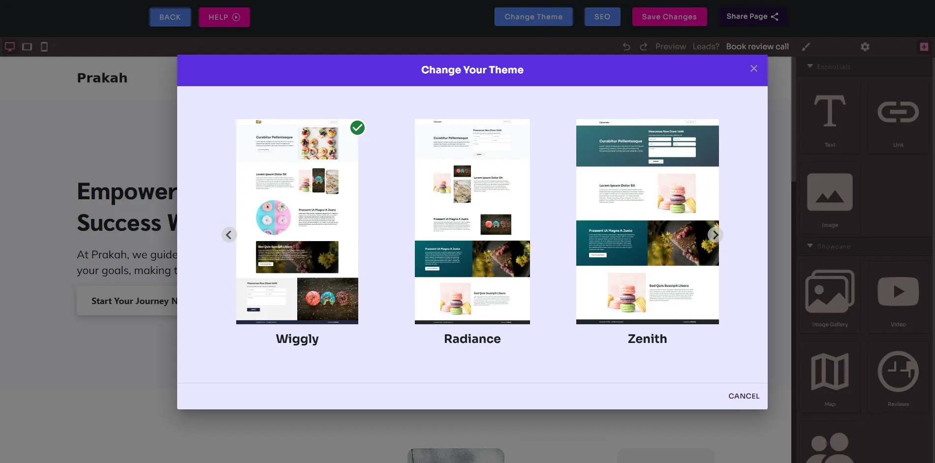 Preview of dMunity themes