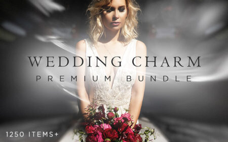 1250+ Wedding Photoshop Actions, Presets & Overlays Bundle | Extended License