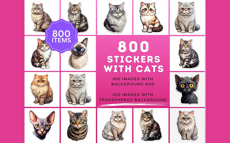 800 stickers with cat
