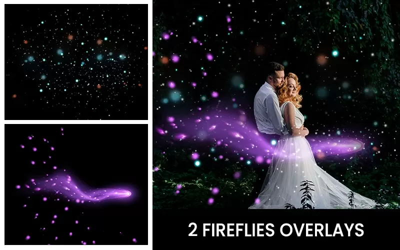 Beautiful Fireflies Overlays